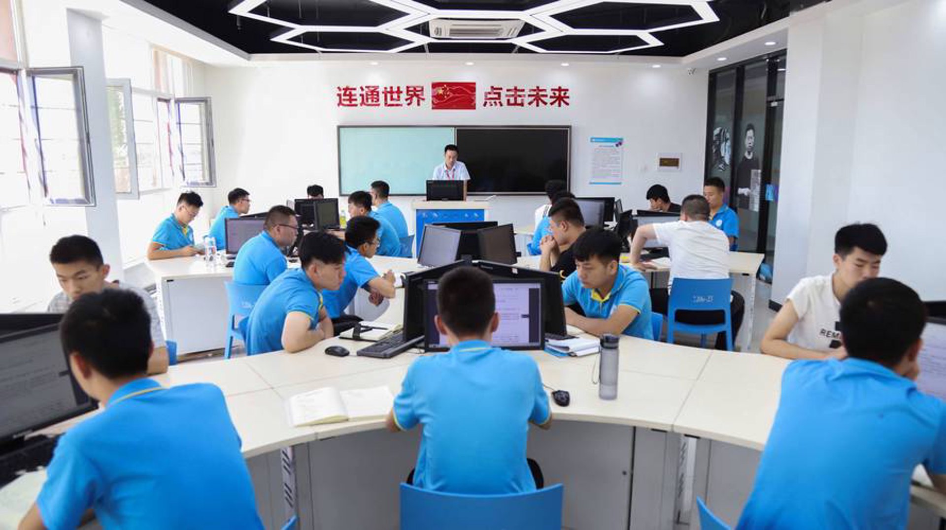 虫族网络科技